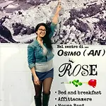 Rose * Osimo