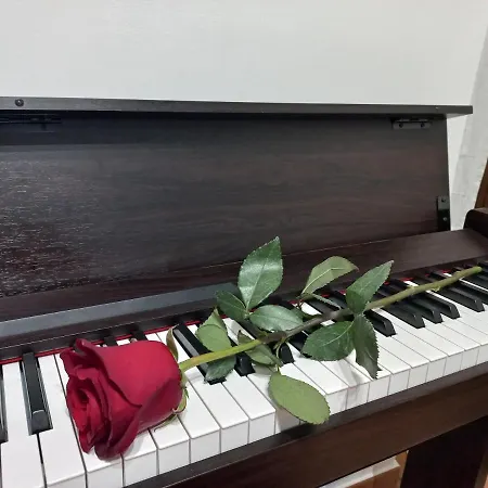 Rose Osimo