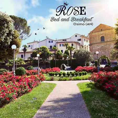 Rose *