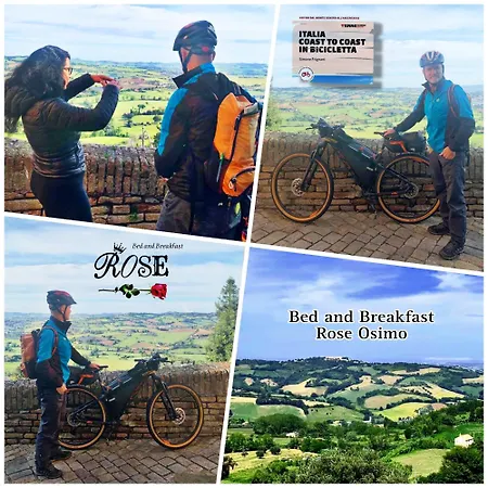 Bed & Breakfast Rose Osimo