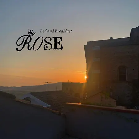 Rose *